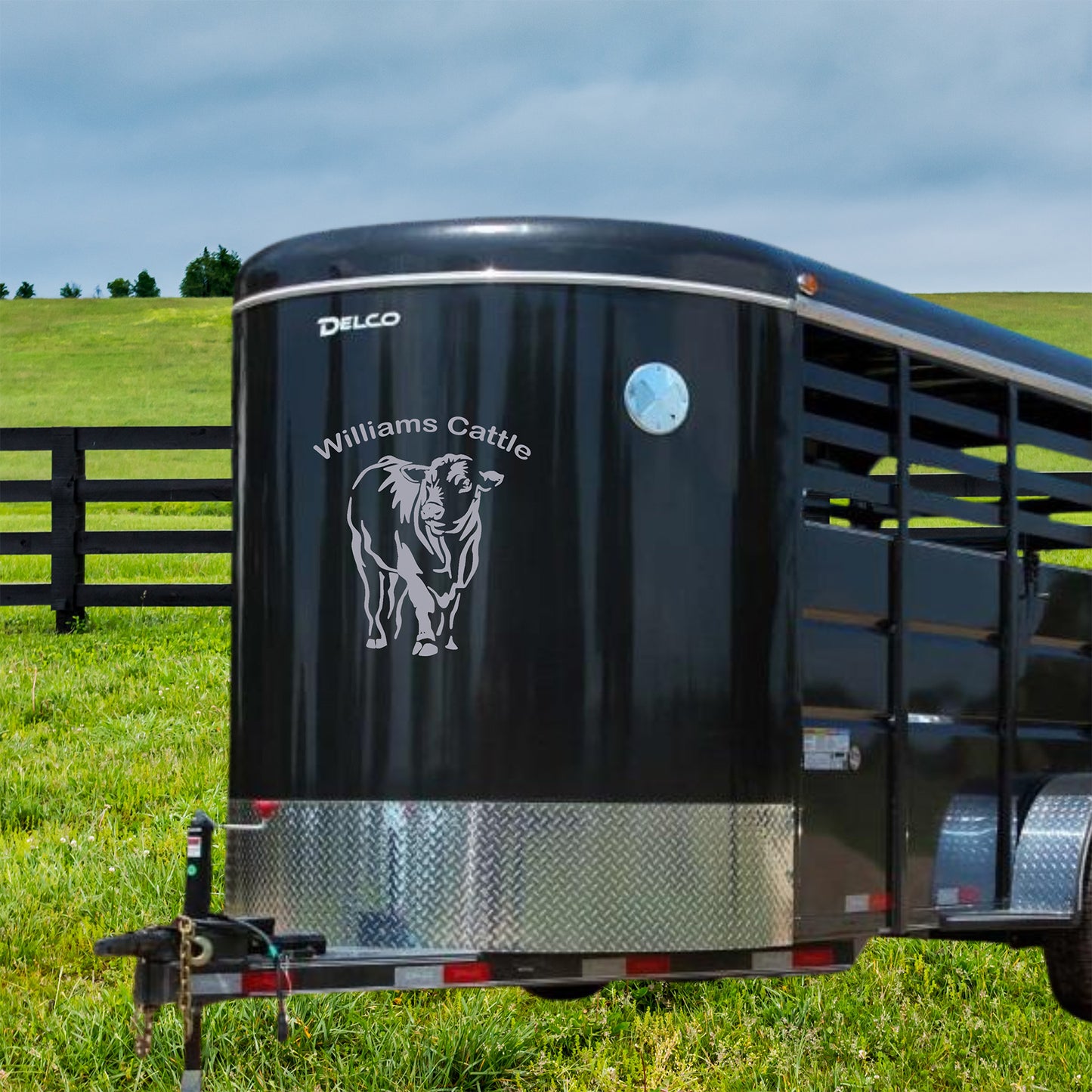 Black Angus Cow Decal | Cow Car Decal | Heifer Decal | Custom Decal | Personized Decal | Trailer Decal