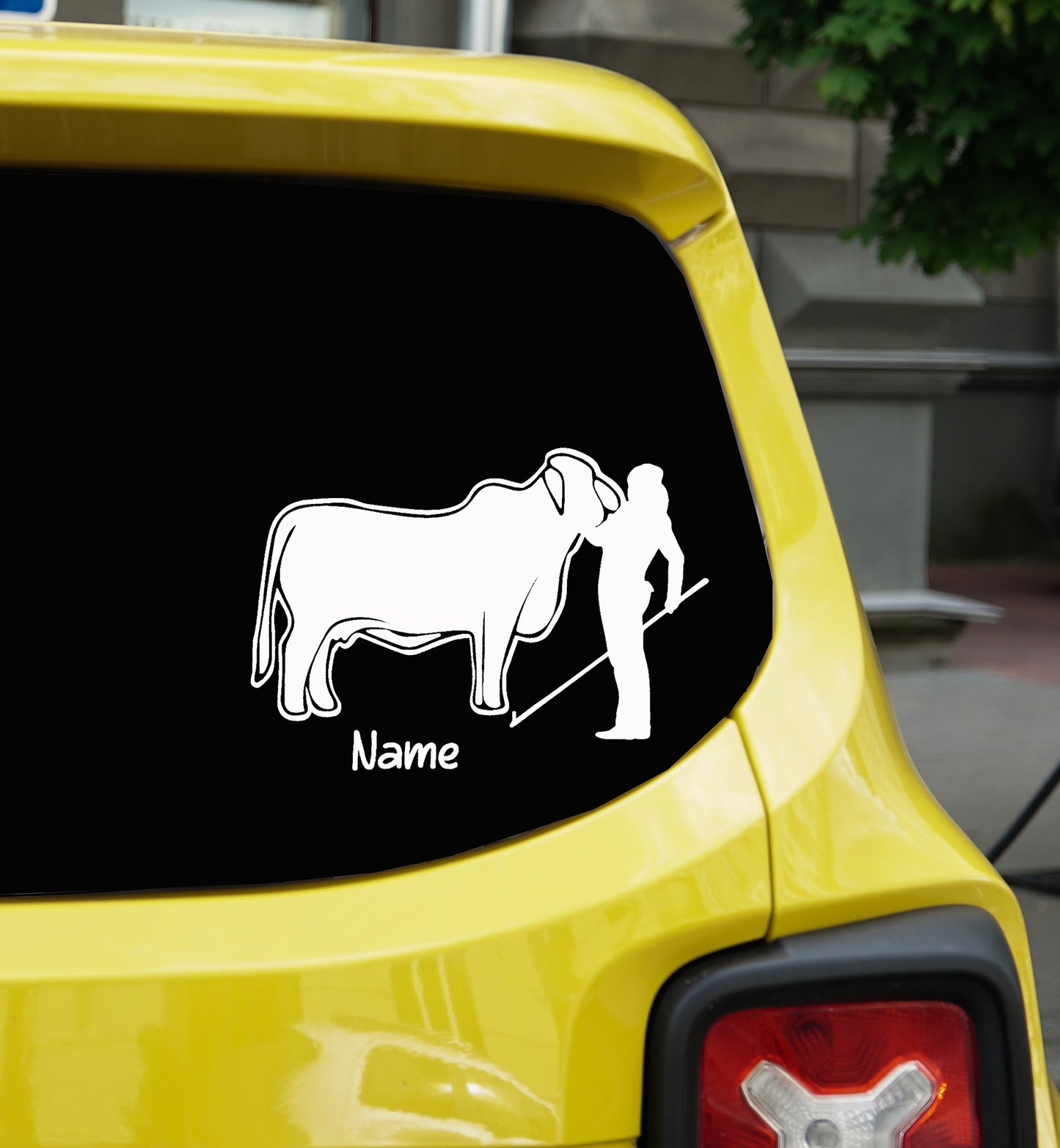 Show Girl Heifer Brahman Cow Decal: Vinyl Livestock Show Car Sticker | Custom Vinyl Decal