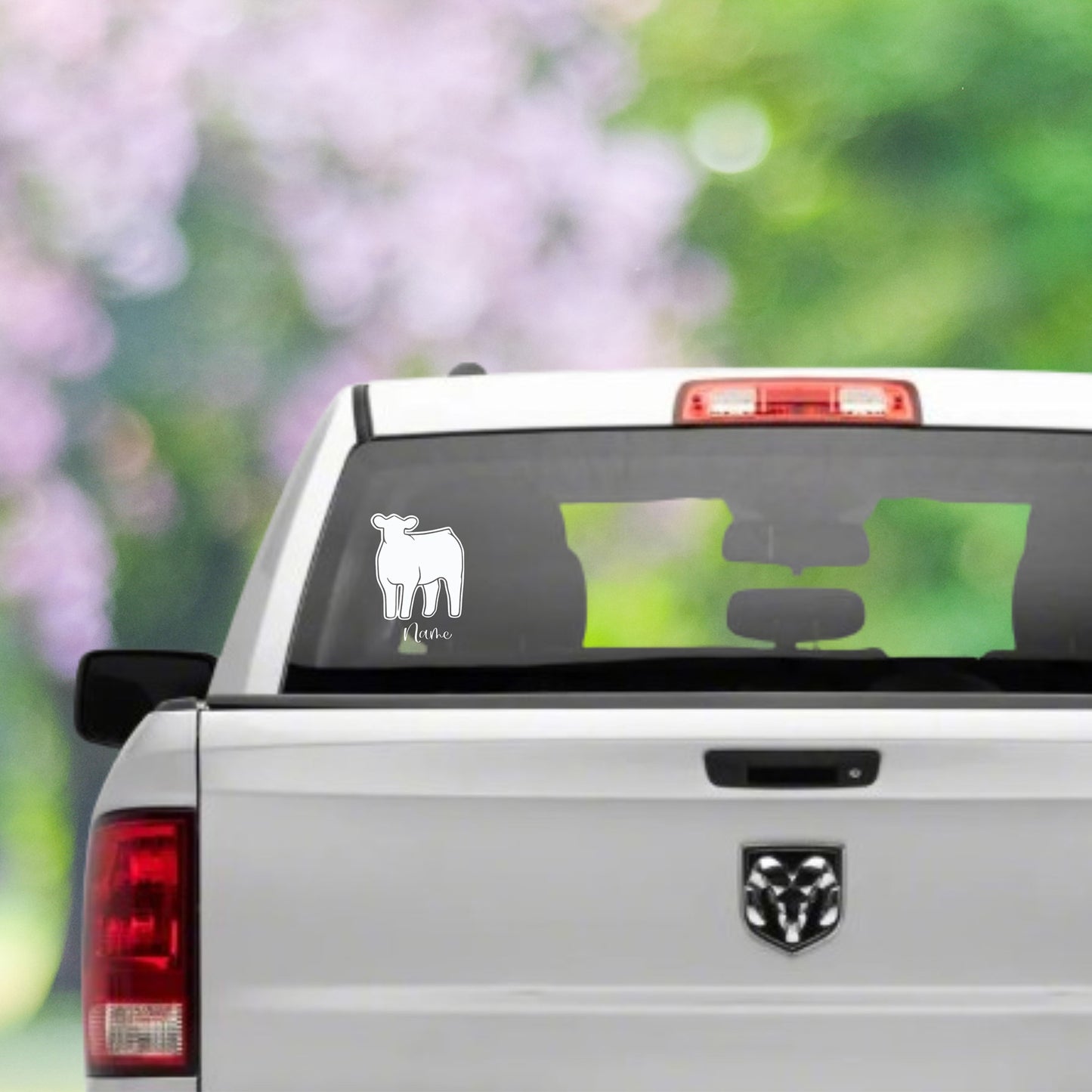 Stock Show Cattle Livestock Car Decal