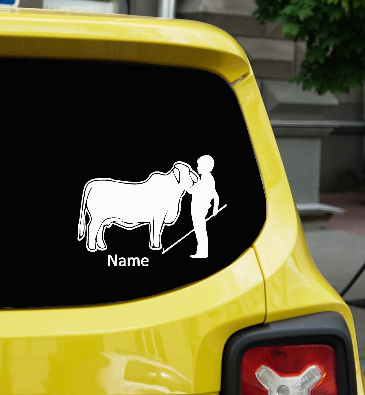 Show Heifer Boy Brahman Car Decal, Personalized Custom vinyl Decal