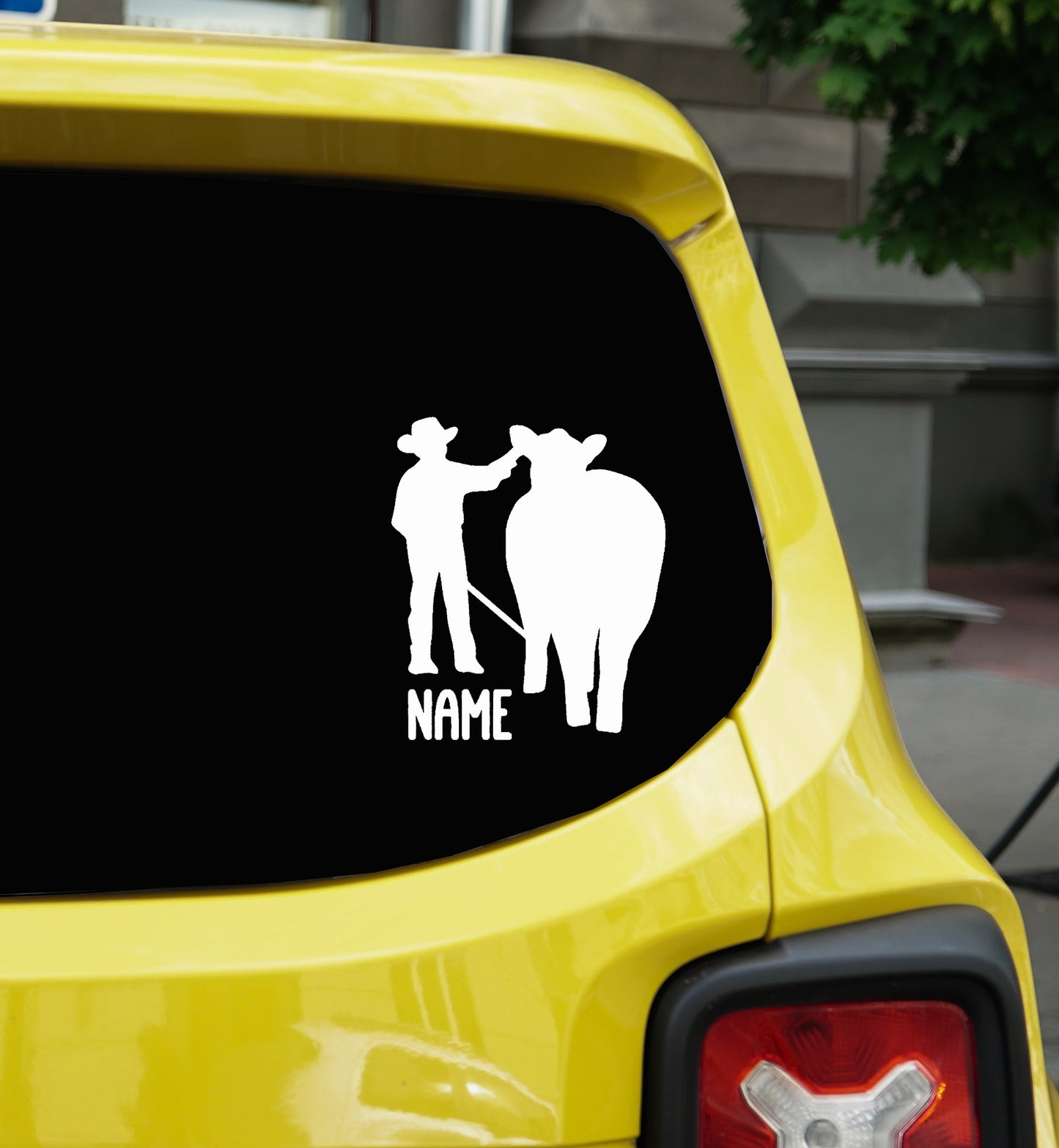 Show Heifer Boy Vinyl Decal Personalized | Show Heifer Boy Decal | Heifer Show box Decal | Vinyl Car Decal | Livestock Decal, Custom Vinyl Decal
