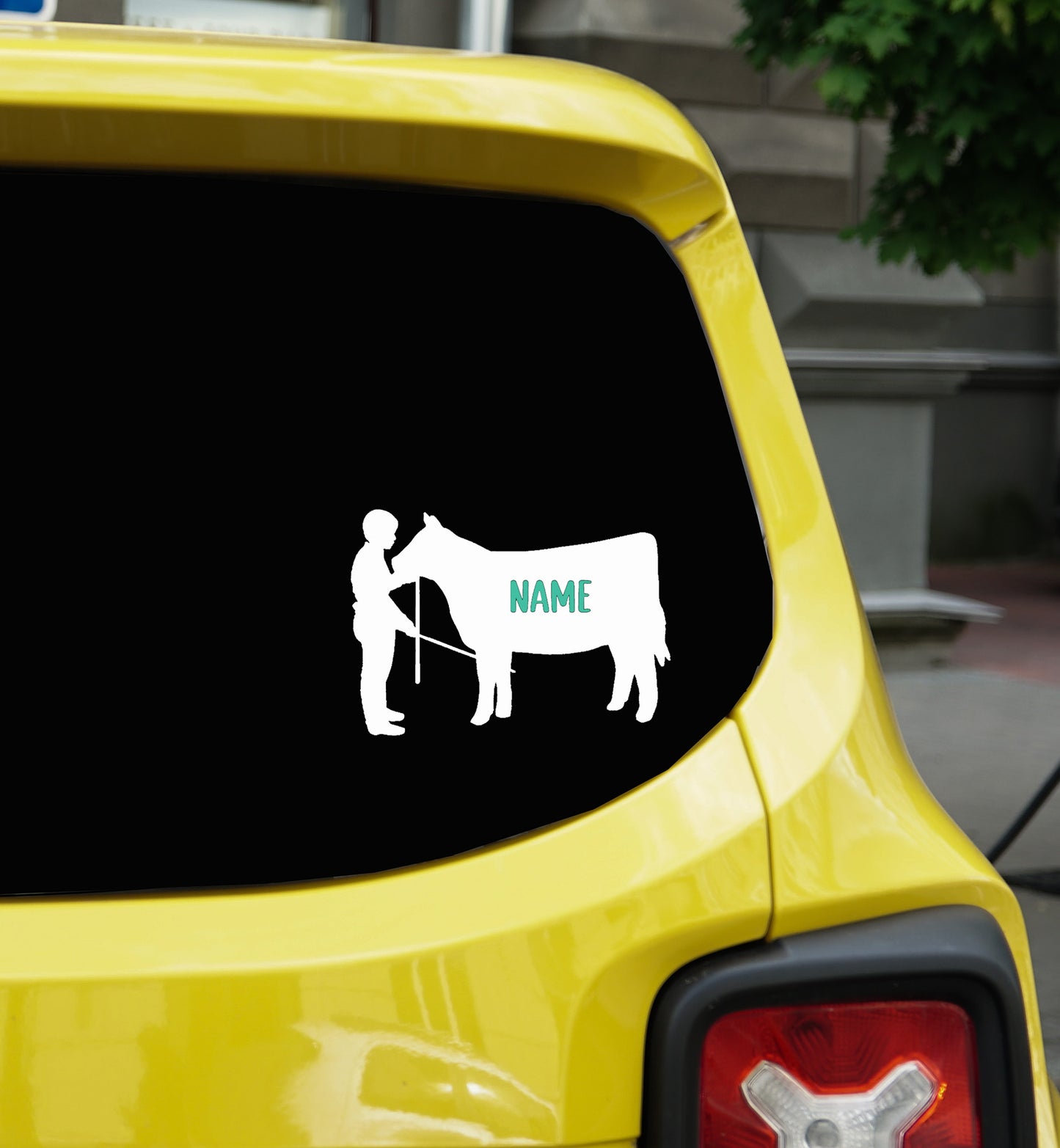 Show Heifer Boy Vinyl Decal | Show Heifer Boy Livestock Vinyl Decal: Custom Cow Car Decor / Custom Vinyl Decal